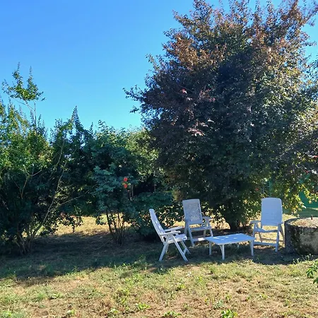 Le Mazet De Pendaries - Jardin - Gaillac