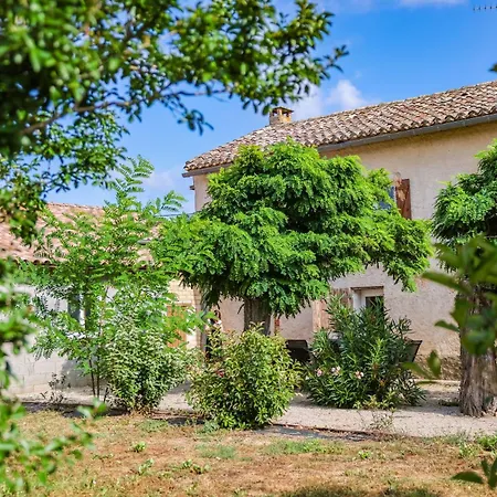 Le Mazet De Pendaries - Jardin - Gaillac *