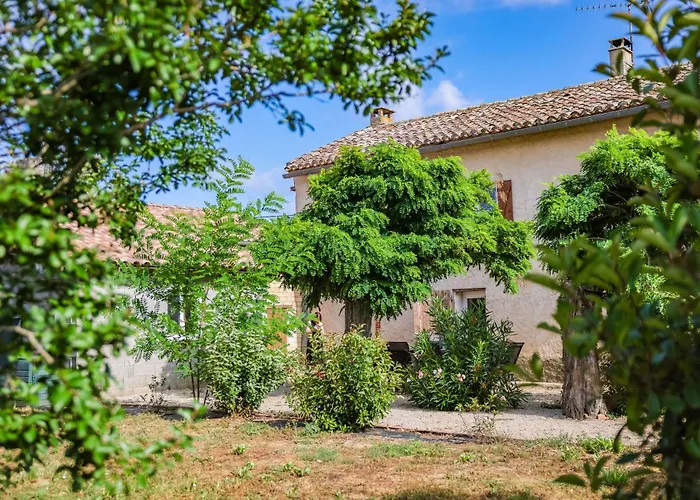 Le Mazet De Pendaries - Jardin - Gaillac *